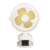 5. BJJ518-White Color